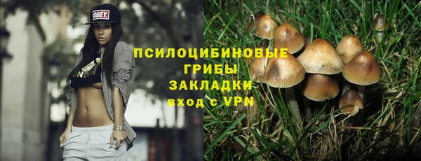 бошки Алзамай